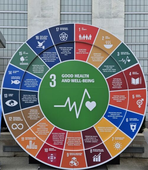 image of SDG3